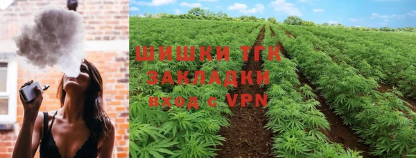 шишки Магадан