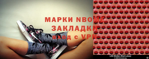 трава Магас