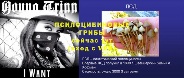 спиды Липки