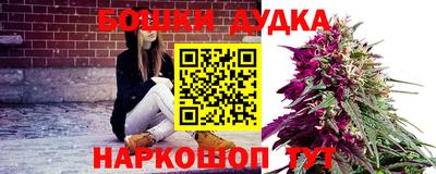 гидра Донецк