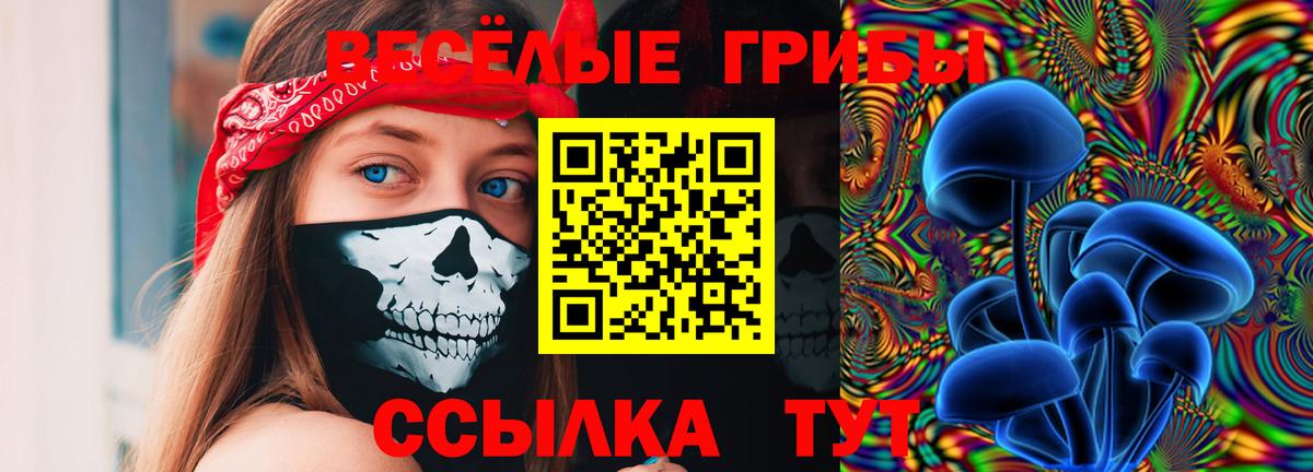 Миллерово  Галлюциногенные грибы Psilocybine cubensis  Вход с VPN 